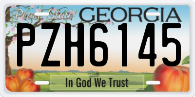 GA license plate PZH6145