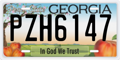 GA license plate PZH6147
