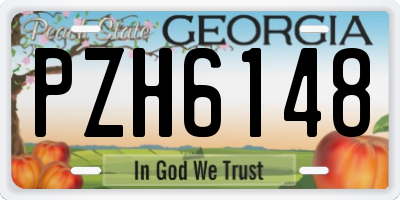 GA license plate PZH6148