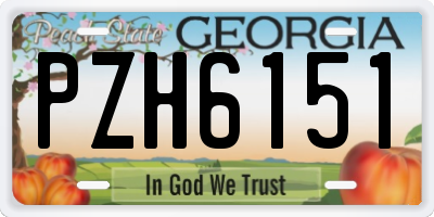 GA license plate PZH6151
