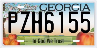 GA license plate PZH6155
