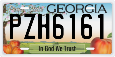 GA license plate PZH6161