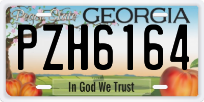 GA license plate PZH6164