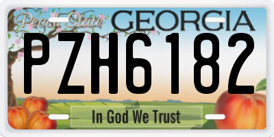 GA license plate PZH6182