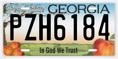 GA license plate PZH6184