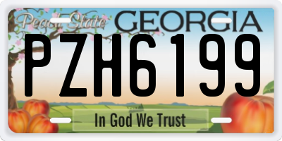 GA license plate PZH6199