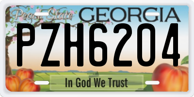 GA license plate PZH6204