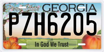 GA license plate PZH6205
