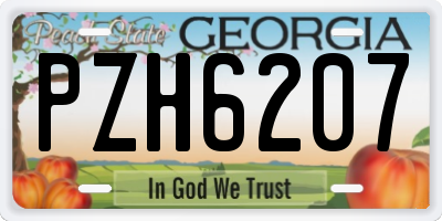 GA license plate PZH6207