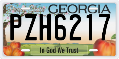 GA license plate PZH6217