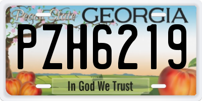 GA license plate PZH6219