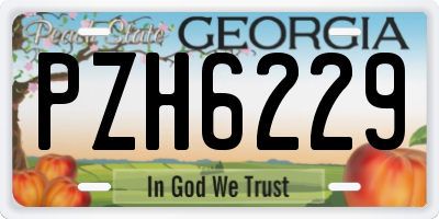 GA license plate PZH6229