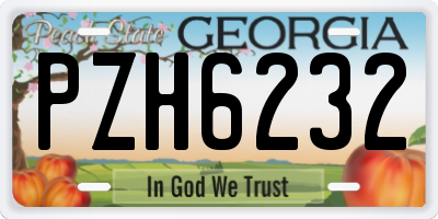 GA license plate PZH6232