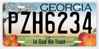 GA license plate PZH6234