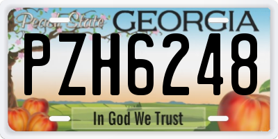 GA license plate PZH6248