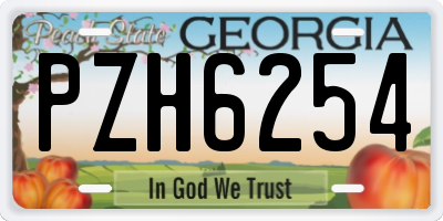 GA license plate PZH6254