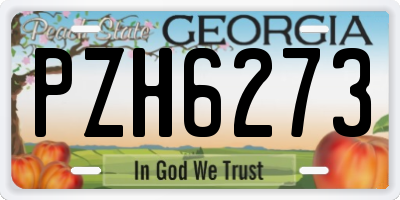 GA license plate PZH6273