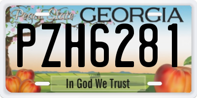 GA license plate PZH6281