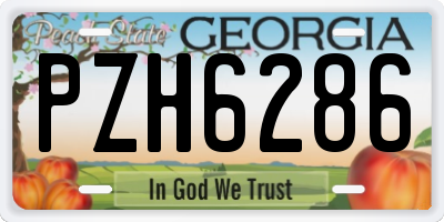 GA license plate PZH6286