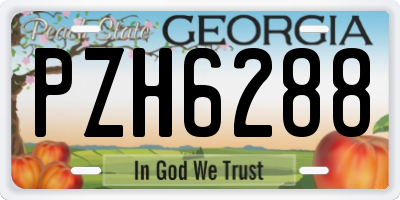 GA license plate PZH6288