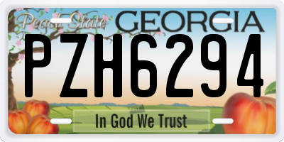 GA license plate PZH6294