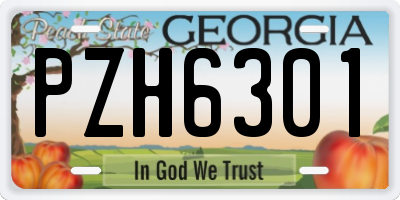 GA license plate PZH6301