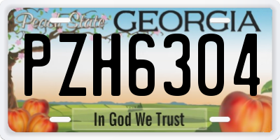 GA license plate PZH6304