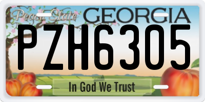 GA license plate PZH6305