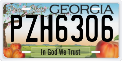 GA license plate PZH6306