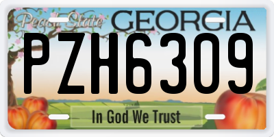 GA license plate PZH6309