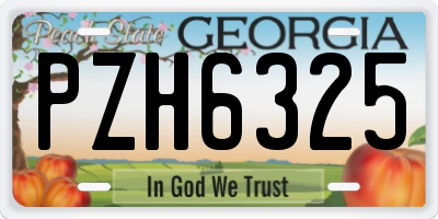 GA license plate PZH6325