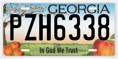 GA license plate PZH6338