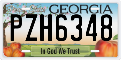 GA license plate PZH6348