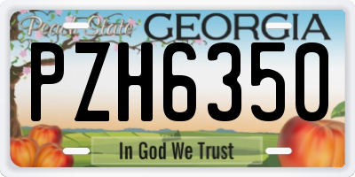 GA license plate PZH6350