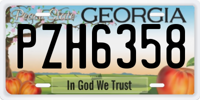 GA license plate PZH6358