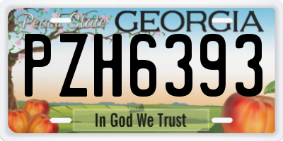 GA license plate PZH6393