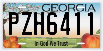 GA license plate PZH6411