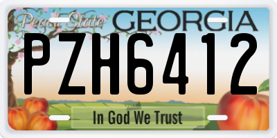 GA license plate PZH6412