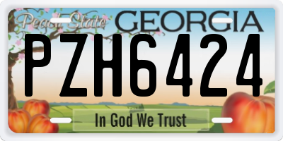 GA license plate PZH6424