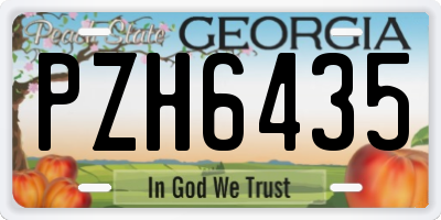 GA license plate PZH6435
