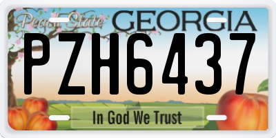 GA license plate PZH6437