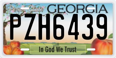 GA license plate PZH6439