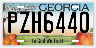 GA license plate PZH6440