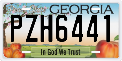 GA license plate PZH6441