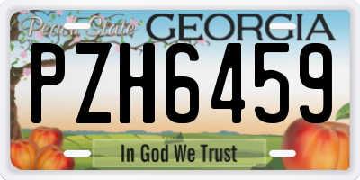 GA license plate PZH6459
