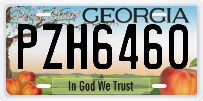 GA license plate PZH6460
