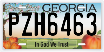 GA license plate PZH6463