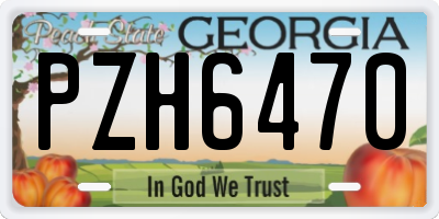 GA license plate PZH6470