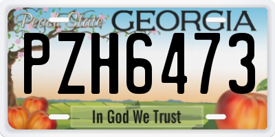 GA license plate PZH6473