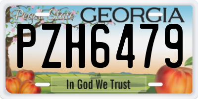 GA license plate PZH6479